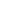 No AI